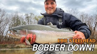 IN YOUR FACE steelhead action Steelhead Alley Float Fishing [upl. by Eirhtug420]