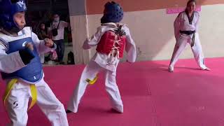 Taekwondo sparring for blue belt promotion [upl. by Mariko]