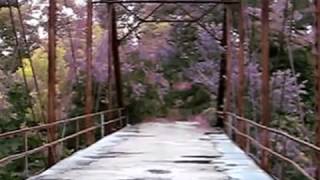 The Cry Baby Boggy Creek Bridge Keetonville Road in CatoosaOklahoma [upl. by Viole41]