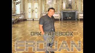 Orkestar Facebook Arabija Cocek 2011by Studio Jackica Legend [upl. by Dekeles984]