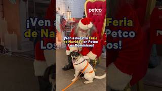 ¡Ven a nuestra feria de navidad en Petco MallPlaza Los Dominicos 🐾 [upl. by Gnaw]