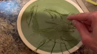 How to propagate Lilaeopsis brasiliensis micro sword [upl. by Mossman724]