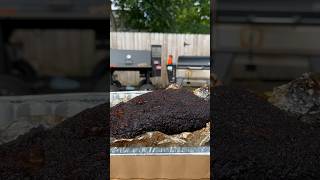 Where Did This Brisket Come From shortsfeed brisket pelletgrill [upl. by Dhaf832]