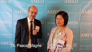 Dr Pascal Magne on Magnification AMED 2016 [upl. by Yllas]