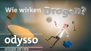 Wie wirken Drogen  SWR Wissen [upl. by Ennovi]