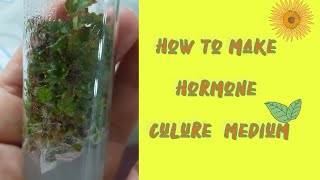 How to make hormone culture medium [upl. by Ronacin]