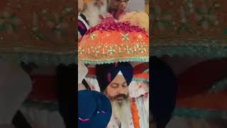 MSS amritsar amritvela viralshort khalsa viralvideosinghgurdwara gurbani gururamdasji [upl. by Burack]