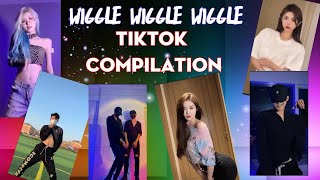 Wiggle Wiggle Wiggle TikTok Remix dance Challenge  Trending [upl. by Liahus]