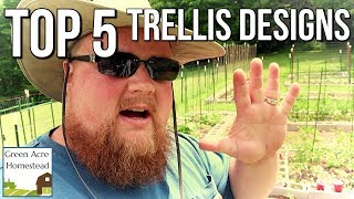 Top 5 Garden Trellises that Work  Gardening  Homesteading [upl. by Goodden68]