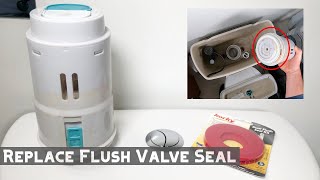 How to Replace Dual Flush Toilet Valve Seal [upl. by Leissam]