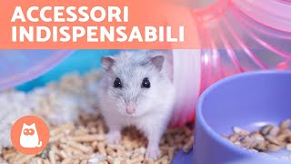 5 ACCESSORI BASE per un CRICETO 🐹 Allestire della Gabbietta [upl. by Arquit]