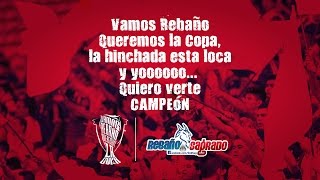 Queremos la Copa  Chivas [upl. by Aney]