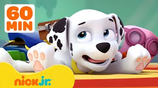 PAW Patrol Marshalls Silliest Moments 🤭 1 Hour Compilation  Nick Jr [upl. by Latreese]