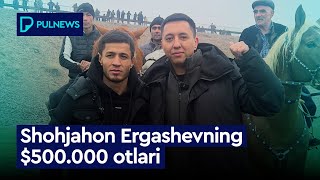 Shohjahon Ergashovni 500000 lik otlari exclusive [upl. by Carmita110]