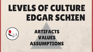 Organizational Culture Edgar Schein [upl. by Angele]