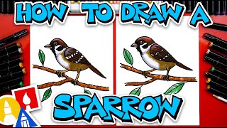 How To Draw A Sparrow [upl. by Arney]