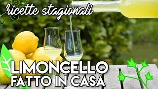 LIMONCELLO fatto in casa ricetta sicilianaricetteflash [upl. by Acirat]