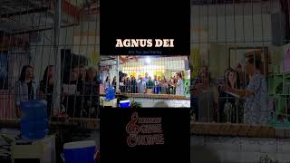 Agnus Dei short video [upl. by Miguela]