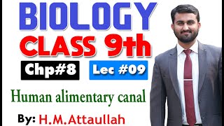 Human alimentary canal  Smart syllabus  Chapter 8  9th class Biology  Lec 9 [upl. by Yllak]