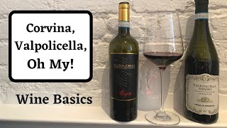 Corvina and Valpolicella  Wine Basics [upl. by Ylerebmik]