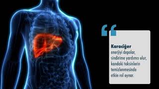 Hepatosteatoz karaciğer yağlanması nedir  Doç Dr Hakan Koçoğlu Dahiliye Uz [upl. by Ytsirt]