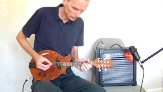 8 string electric mandolin 16 demo [upl. by Stulin]