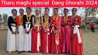 Tharu maghuta chhokra nachnew Tharu maghi specialtharu maghi special 20242080Tharu culture maghi [upl. by Mihalco]