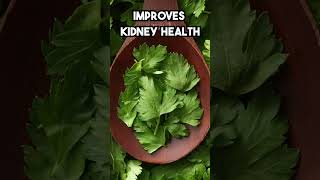 Discover the Incredible Health Benefits of Parsley healthyfood [upl. by Seessel]