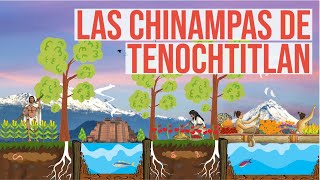 ¿Cómo construían sus chinampas los aztecas [upl. by Olzsal828]