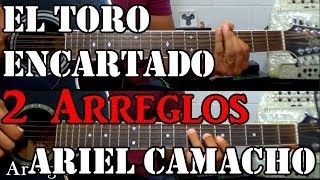 Tutorial  2 Arreglos de la canción quotEl toro encartadoquot  Ariel Camacho  TABS [upl. by Enoyrt]