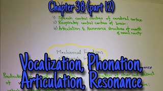 Vocalization phonation articulation resonance Chapter 38 part 12 Guyton and hall physiology [upl. by Adnofal631]