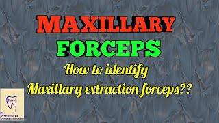 Dental Forceps  Maxillary forceps identification and use [upl. by Llerehc]