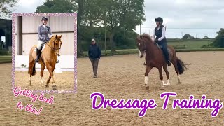 Dressage Training  prepping for British Dressage Elementary after injury [upl. by Kajdan]