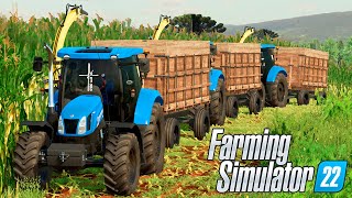 SILAGEM RAIZ NO PARANAZÃO  FARMING SIMULATOR 22  EP 33 [upl. by Anuait]