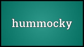 Hummocky Meaning [upl. by Atinet]