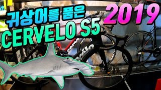 귀상어를 품은 자전거 2019 CERVELO S5 DISC 모델 언박싱입니다 역시 써벨로 갖고싶다 [upl. by Ainerol]