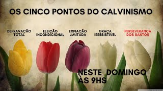 OS CINCO PONTOS DO CALVINISMO  LIÇÃO 5 – PERSEVERANÇA DOS SANTOS [upl. by Tolmach540]