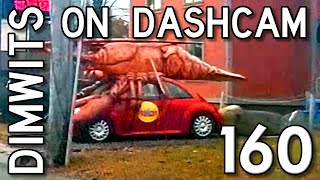 Dimwits On Dashcam  Vol 160 [upl. by Ydal]