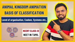 Animal Kingdom Animation in Tamil  NEET2025  NCERT ClassXI Biology  Coelom  Germ layer [upl. by Giacomo488]