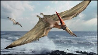 Dinosaurs National Geographic Documentary  Flying Sky Monster  BBC Wildlife [upl. by Kciremed]