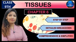 TISSUES  ANIMAL TISSUE class 9 biology  CBSE [upl. by Kunz822]