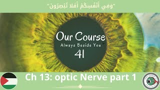 Ch 13 Optic Nerve P1 Anatomy amp papilledema Ophthalmology 41 [upl. by Natan]