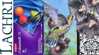 Derwent Coloursoft colored pencil review and speed drawing w Lachri [upl. by Sherl]