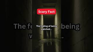 Scary facts sending chills down your spine 10 shorts [upl. by Novi341]