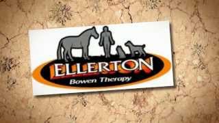 Remedial Massage Bendigo  Ellerton Bowen Therapy [upl. by Blum]