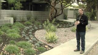 MidCentury Modern Landscape Design [upl. by Aniral585]