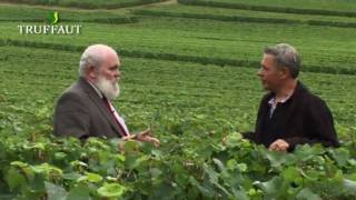 La vigne  les conseils du directeur du vignoble de Veuve Clicquot en Champagne  Truffaut [upl. by Danczyk948]