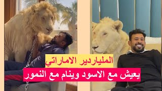 الملياردير الاماراتي حميد بقيش يضع رأسه بين أنياب اسد ضخم وينام مع النمور [upl. by Alamak881]