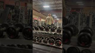 ARM DAY StraightBar Curls amp Hammer Curls [upl. by Sanoy]