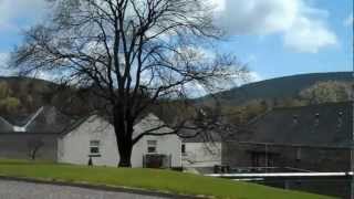 Glenfiddich Distillery Visit  The Pioneers Tour [upl. by Yremogtnom]